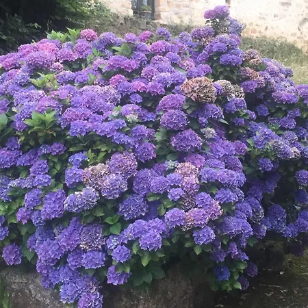 Casa Vacacional Valles Pasiegos