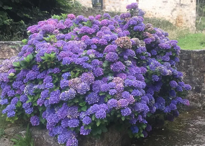 Casa Vacacional Valles Pasiegos